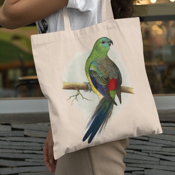 Outfit Bits Handbags - Red-Rumped Parrot Vintage Print Graphic Canvas Tote Bag